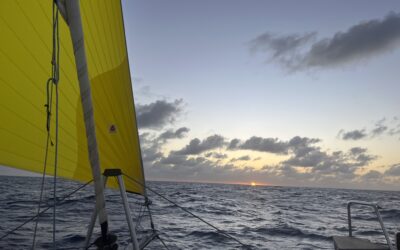 Feedback Delta Voiles